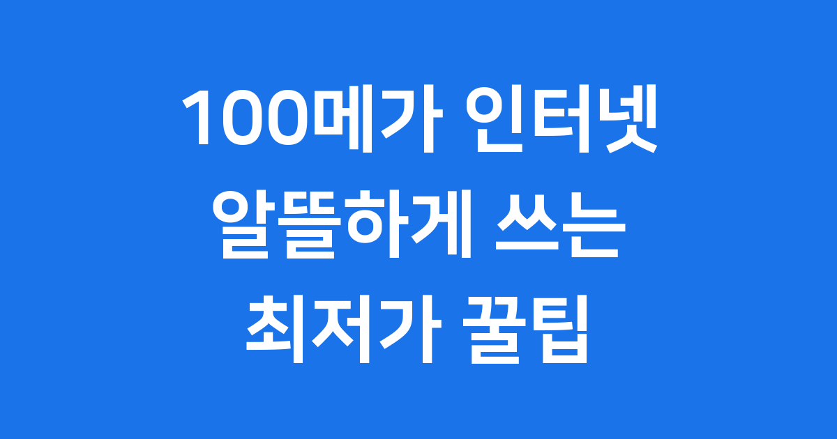 100메가 인터넷 알뜰하게 쓰는 꿀팁! 2025년 최저가 요금제는?