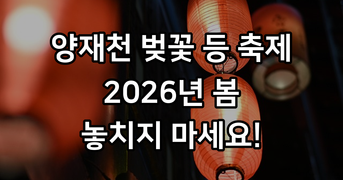 양재천 벚꽃 등 燈 축제