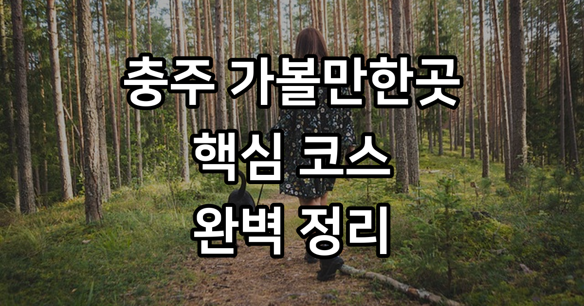 충주가볼만한곳 2026년 추천 여행 코스