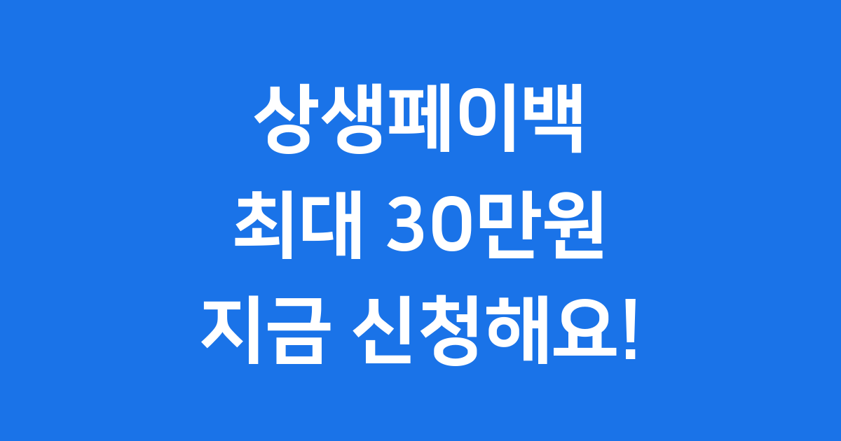 상생페이백 2025년 신청방법 자격조건 30만원