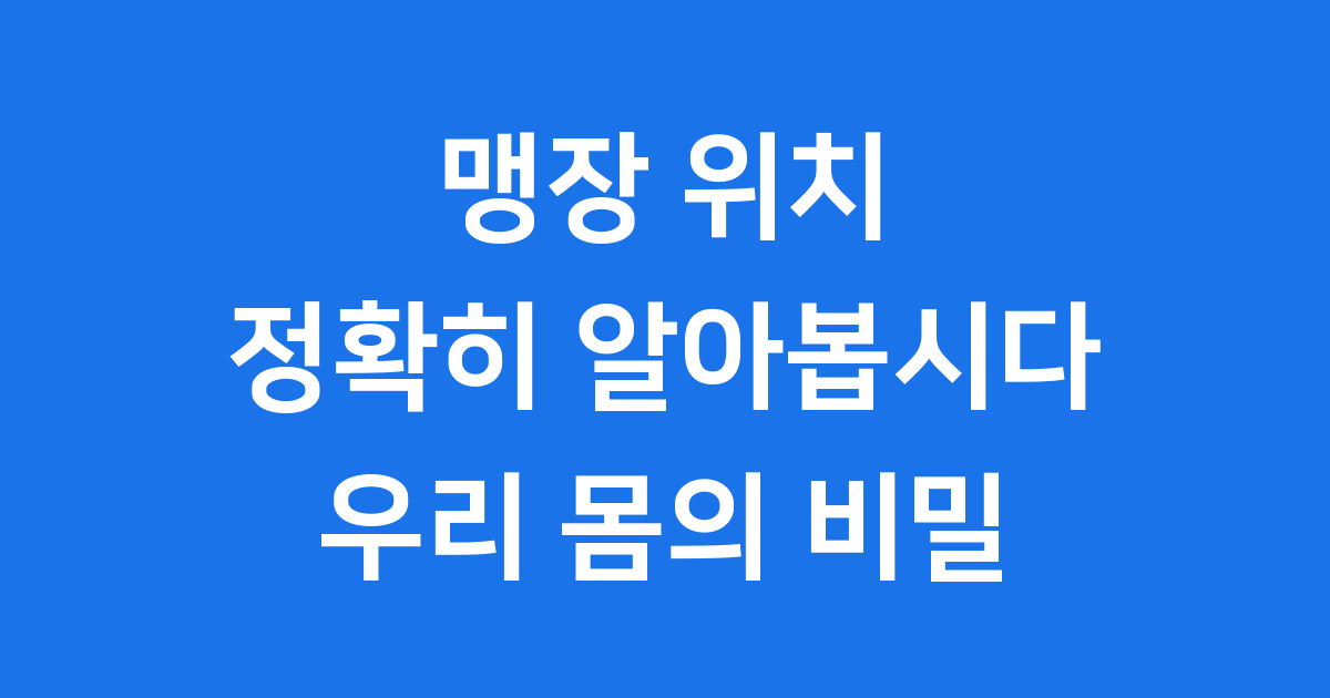 맹장 위치