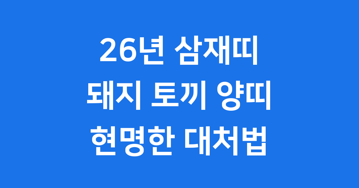 26년 삼재띠 어떤 띠 눌삼재 현명하게 보내는 법