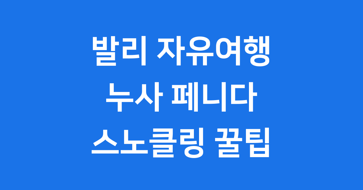 발리 자유여행 누사 페니다 스노클링 투어