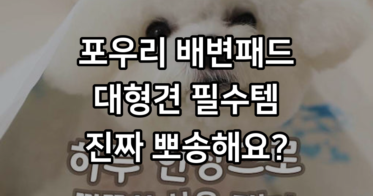 포우리 강아지 배변패드 퀵드라이 대형 써보니 흡수력 최고