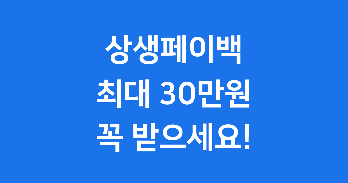 상생페이백 2025년 신청방법 조건 30만원 환급