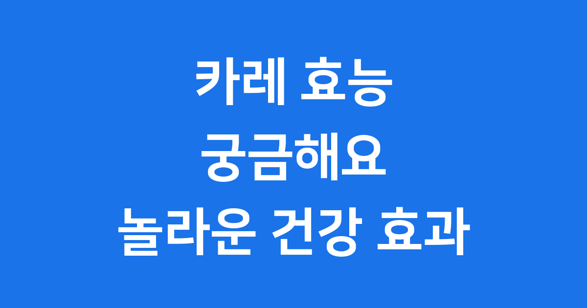 카레 효능 궁금해요 놀라운 건강 효과