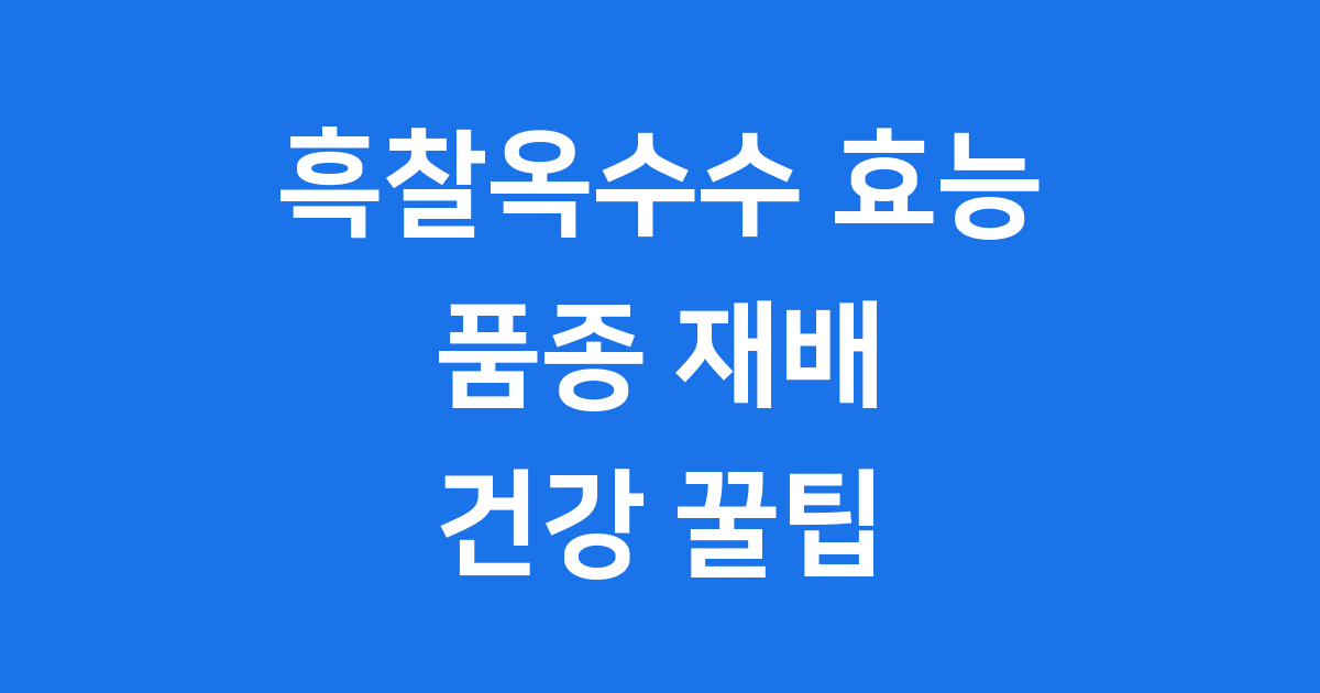 흑찰옥수수 효능 품종 재배 꿀팁