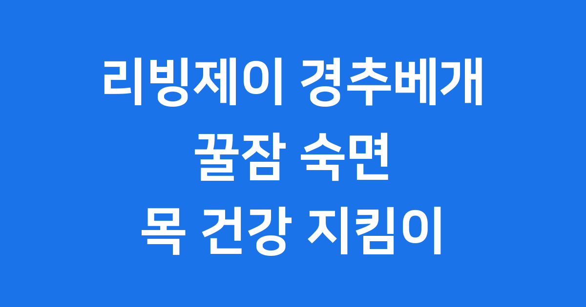 리빙제이 경추베개 잠솔솔 목 건강 숙면 베개 추천
