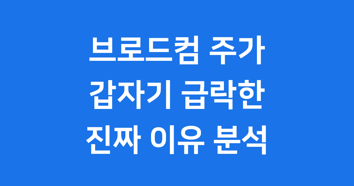 브로드컴 주가 급락 원인 분석 AI 반도체 딜레마