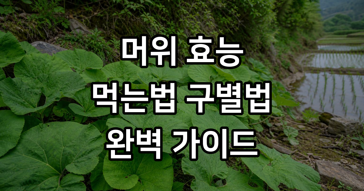 머위 효능 먹는법 구별법 완벽 정리