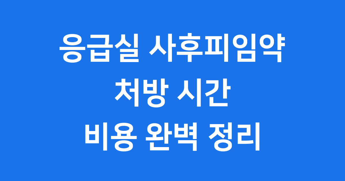 응급실 사후피임약 처방 절차 시간 비용