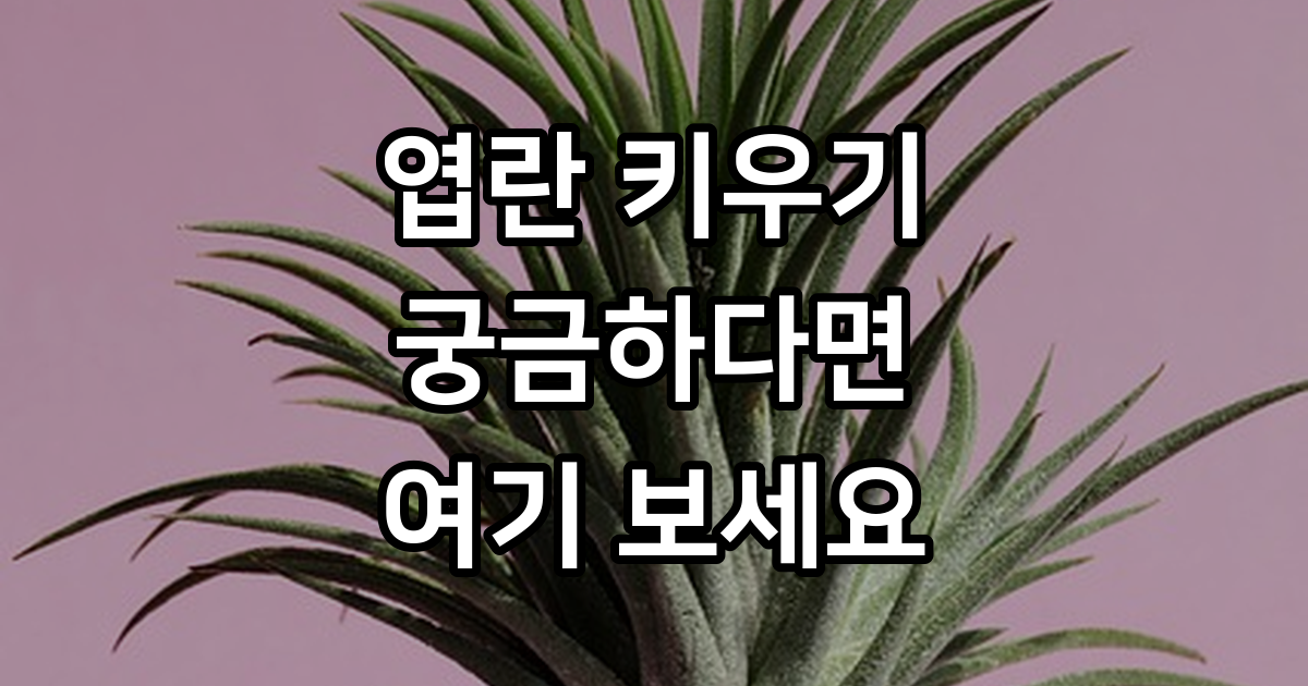 엽란 키우기 초보도 쉬운 물주기 관리법