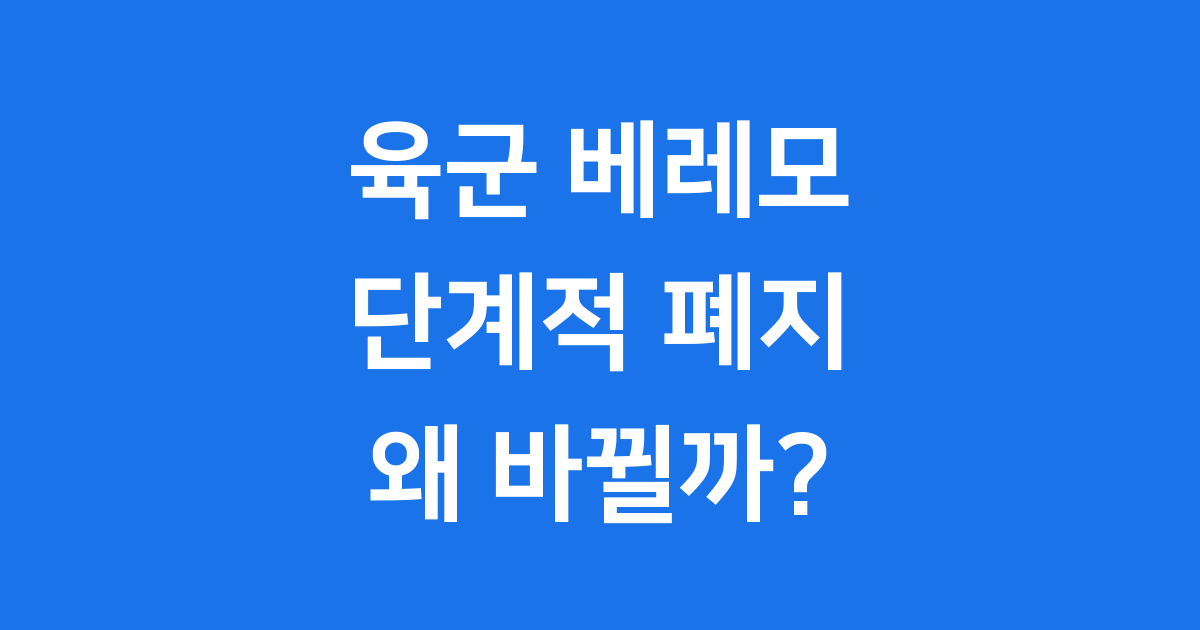 육군 베레모 단계적 폐지