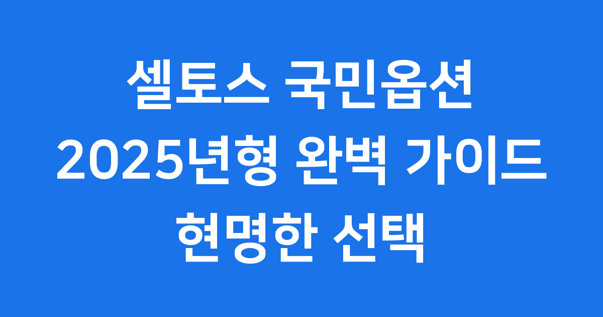 2025 셀토스 국민옵션: 현명한 선택 가이드