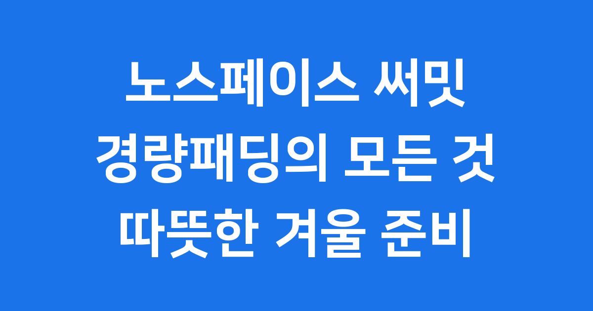 노스페이스 경량패딩 써밋