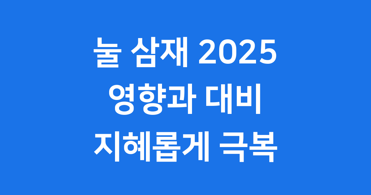 눌 삼재 2025년 영향과 대비책