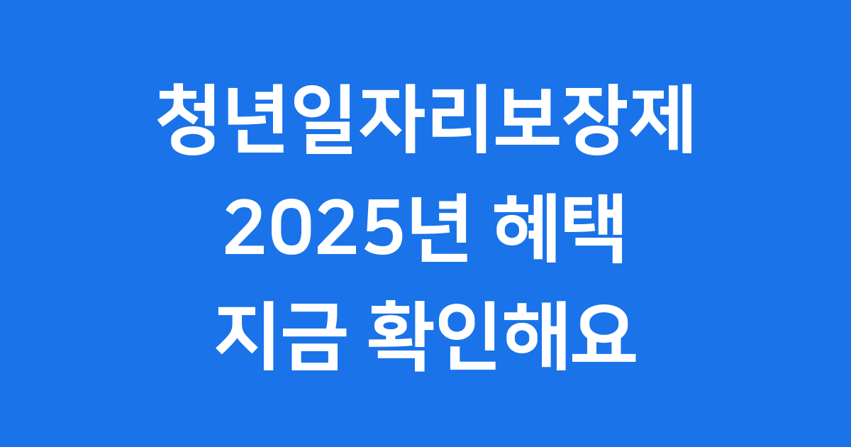 청년일자리보장제 2025년 지원정책 확인