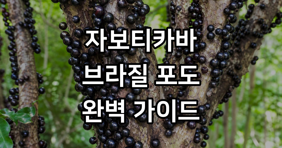 자보티카바 효능 섭취방법 영양성분 총정리