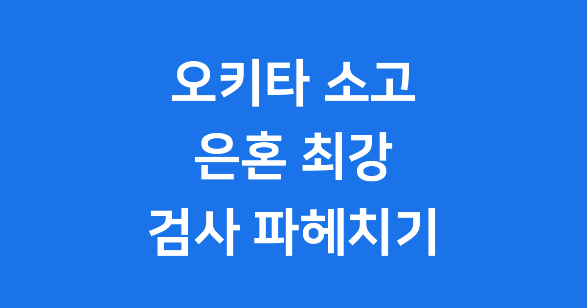 오키타 소고 은혼 진선조 최강 검사 파헤치기