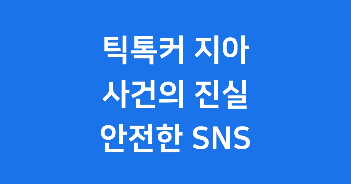 틱톡커 지아 사건 SNS 위험성 예방 안전 수칙