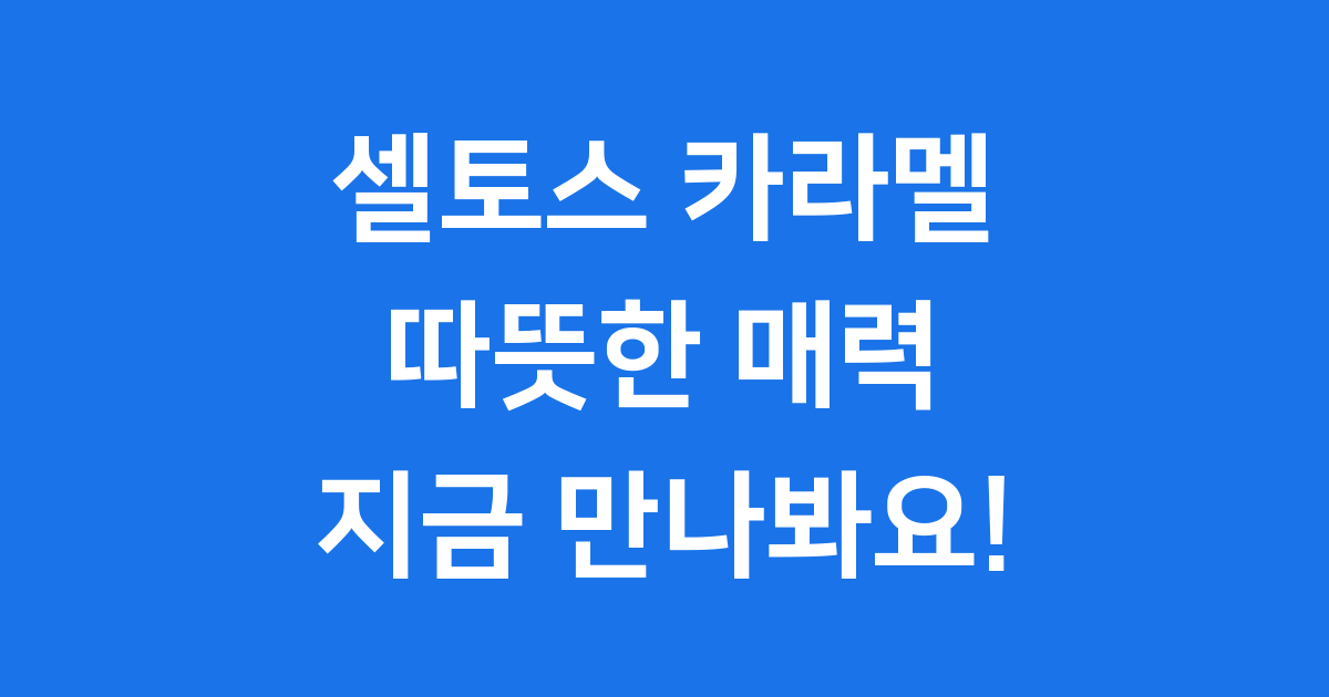 2025 셀토스 카라멜 인테리어 가격