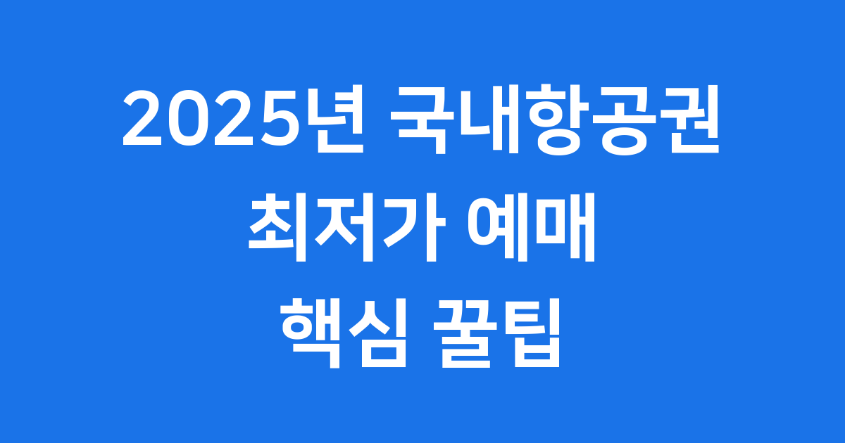국내항공권 2025년 최저가 예매 비법