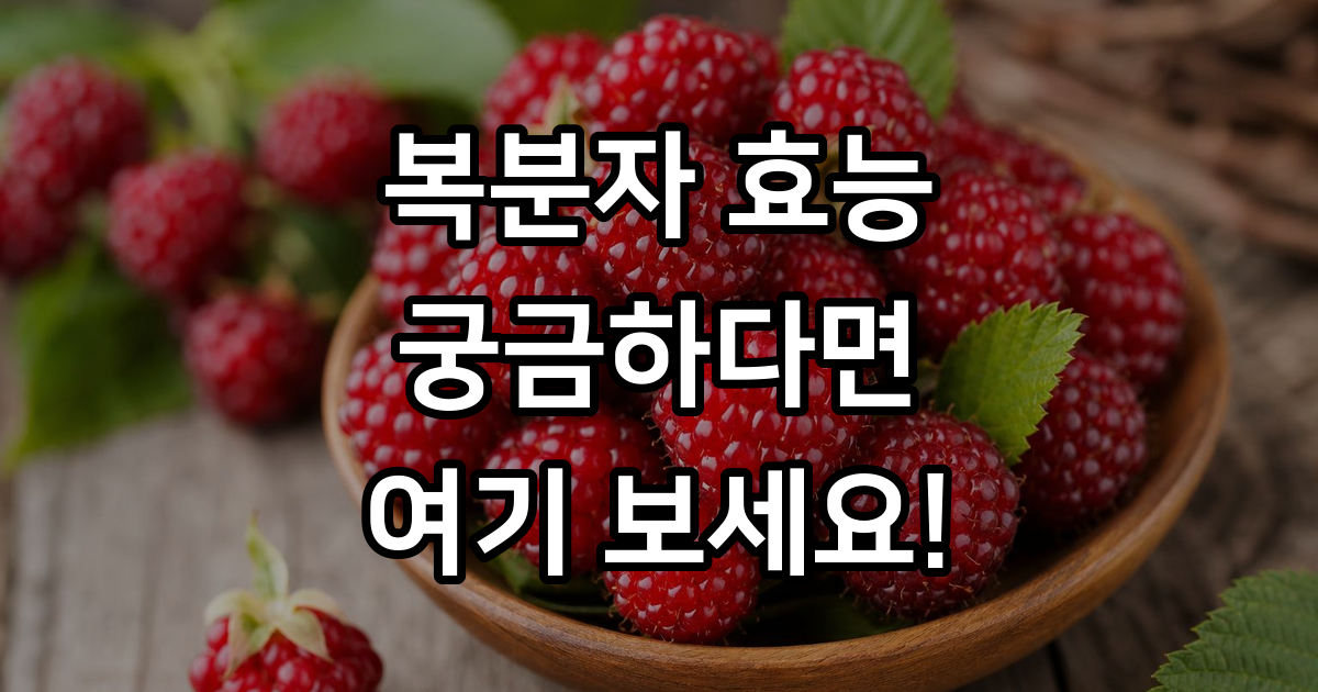 복분자효능 영양성분 눈 피부 혈관 건강
