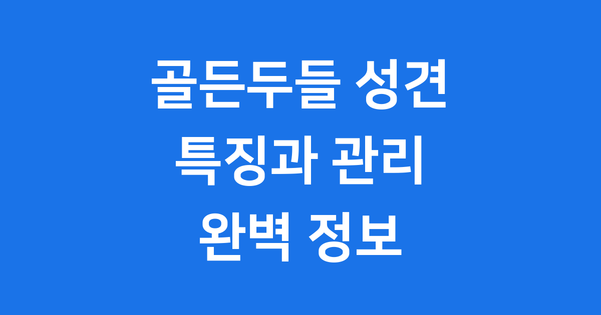 골든두들 성견 특징 분양 관리 정보