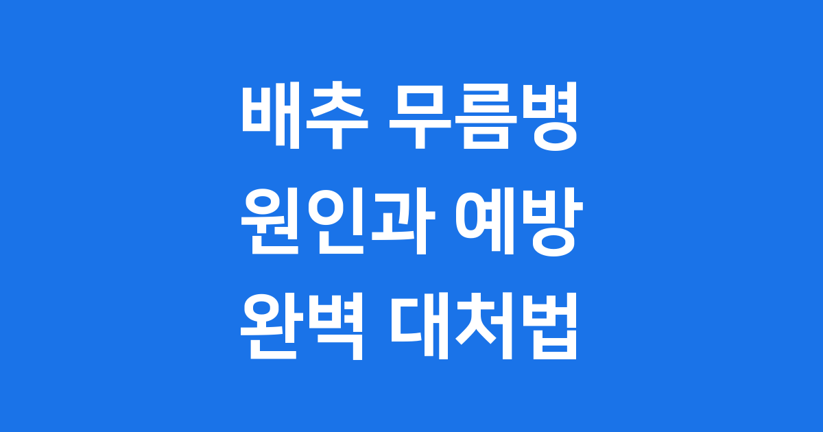 배추 무름병 원인과 예방 대처법 2025년 핵심