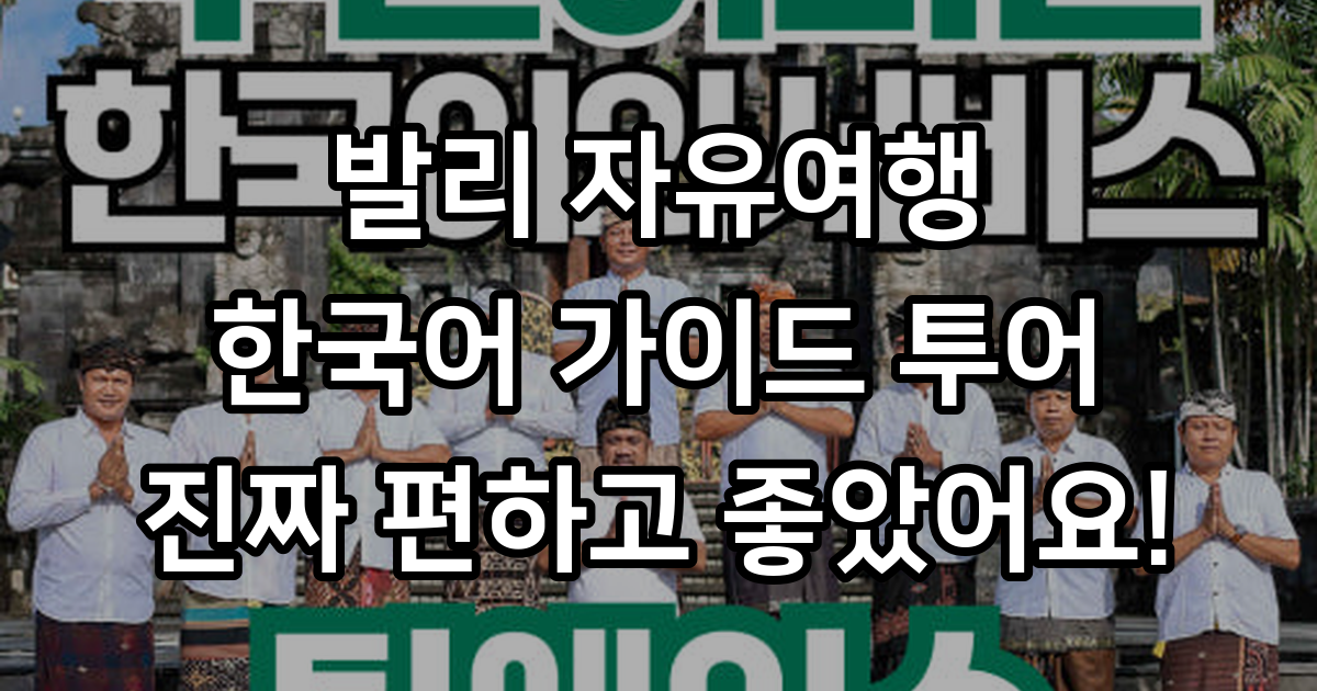 팀에이스 발리 한국어 가이드 투어 자유여행 필수템 솔직후기