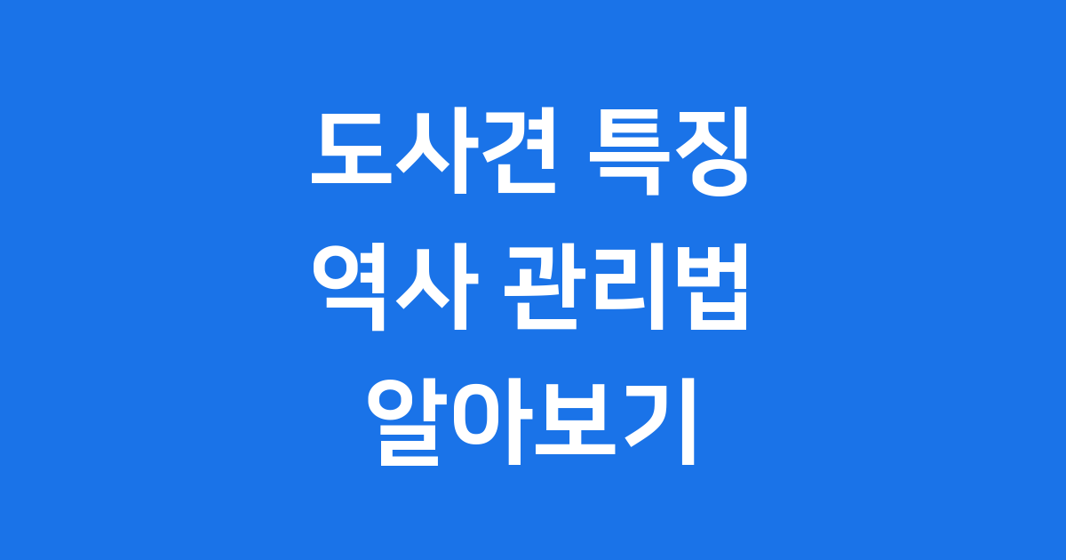 도사견 특징 역사 관리법 알아보기