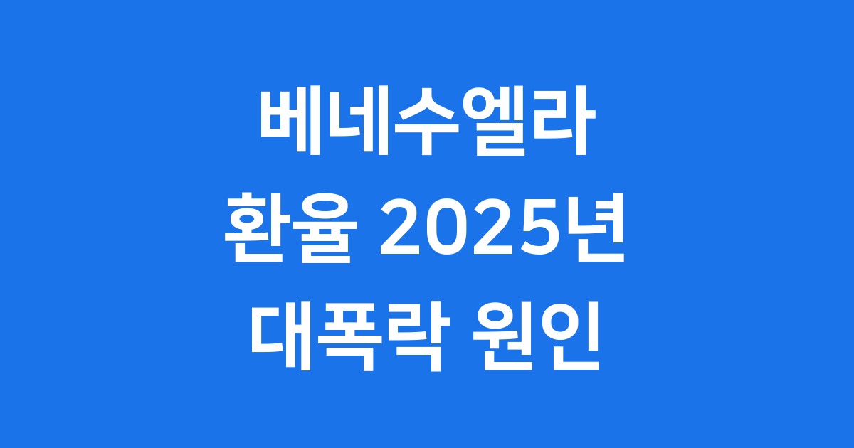 베네수엘라 환율 2025년 변동 원인 및 전망