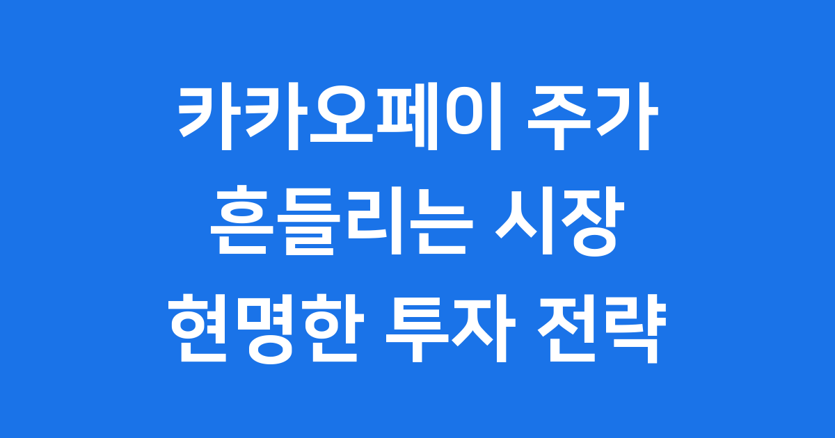 카카오페이 주가 2025년 변동성 분석 투자 전략