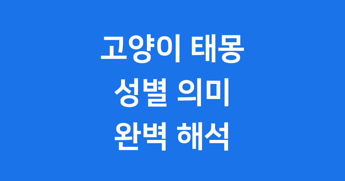 고양이 태몽 성별 의미 완벽 해석