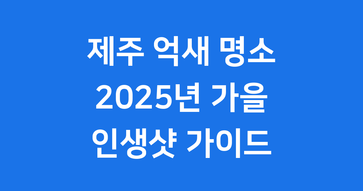 2025년 가을, 제주 억새 명소에서 인생샷 남겨봐요!