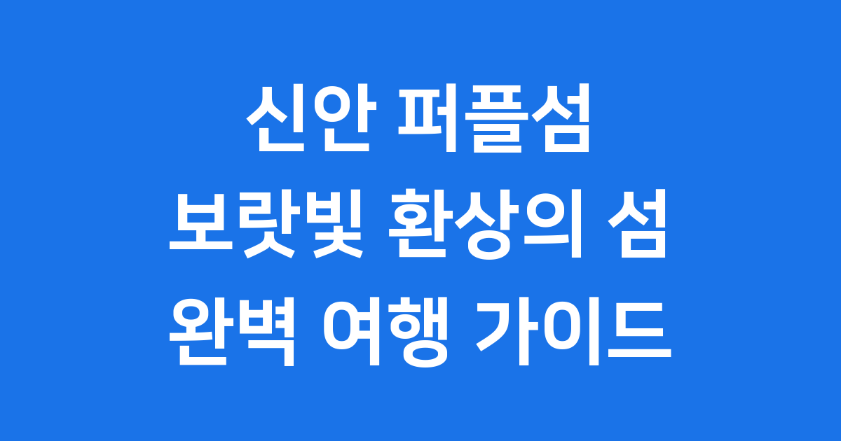 신안 퍼플섬 여행 완전 정복!