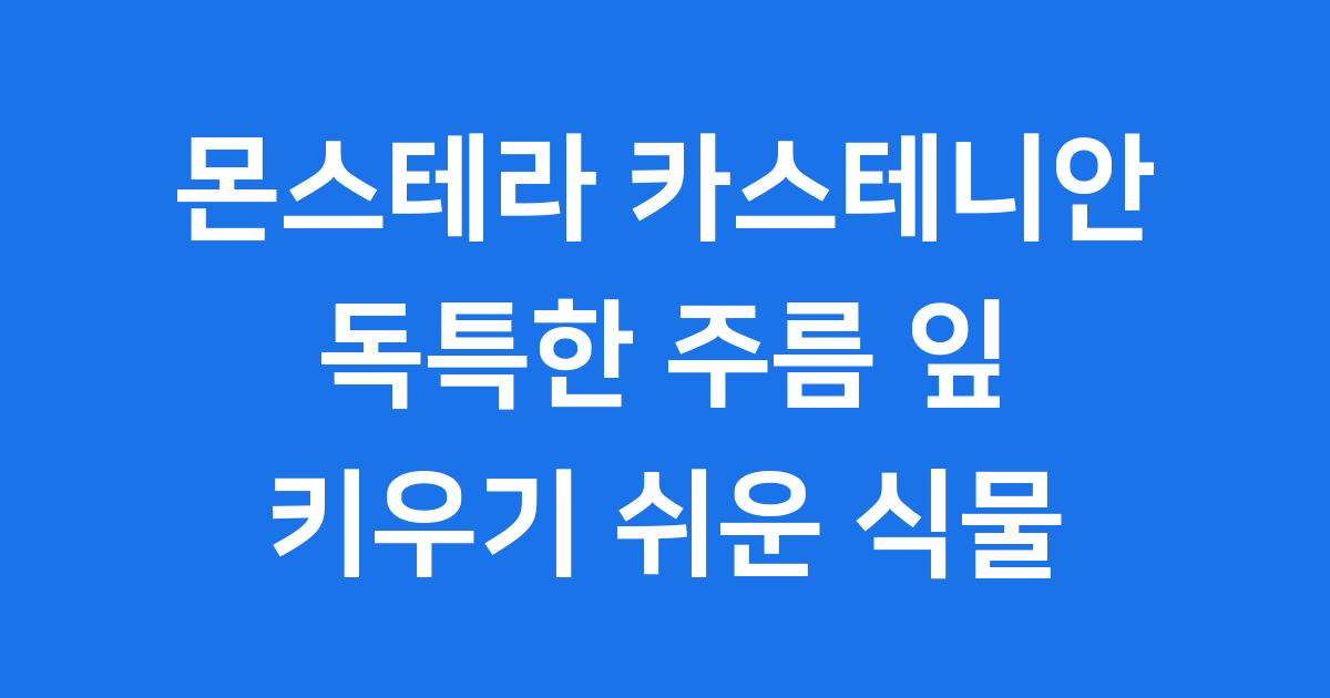몬스테라 카스테니안 독특한 주름 잎 키우기 쉬운 관엽식물