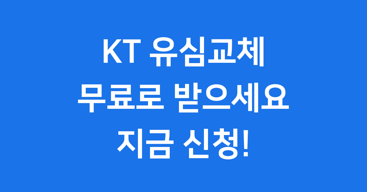 KT 유심교체