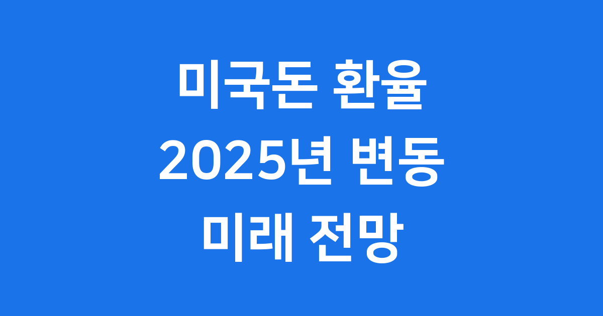 2025년 미국돈 환율 변동과 미래 전망