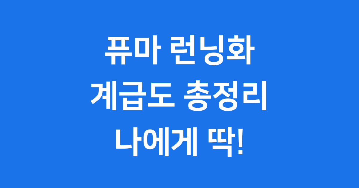 퓨마 런닝화 계급도