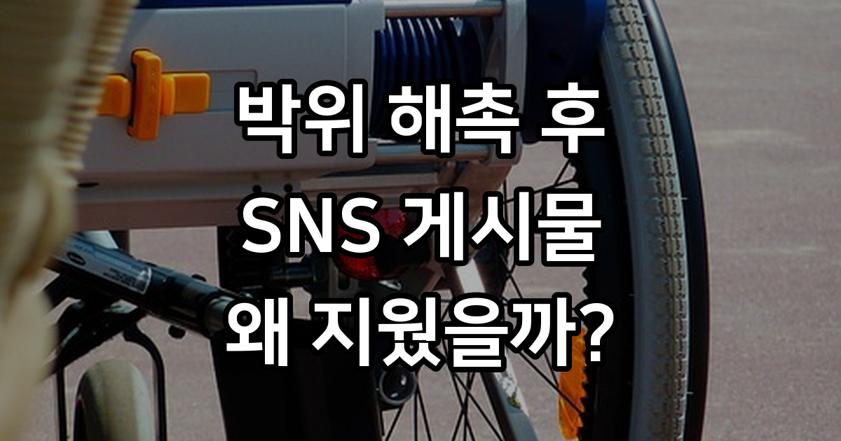 박위 서울시 홍보대사 해촉 SNS 게시물 삭제 논란