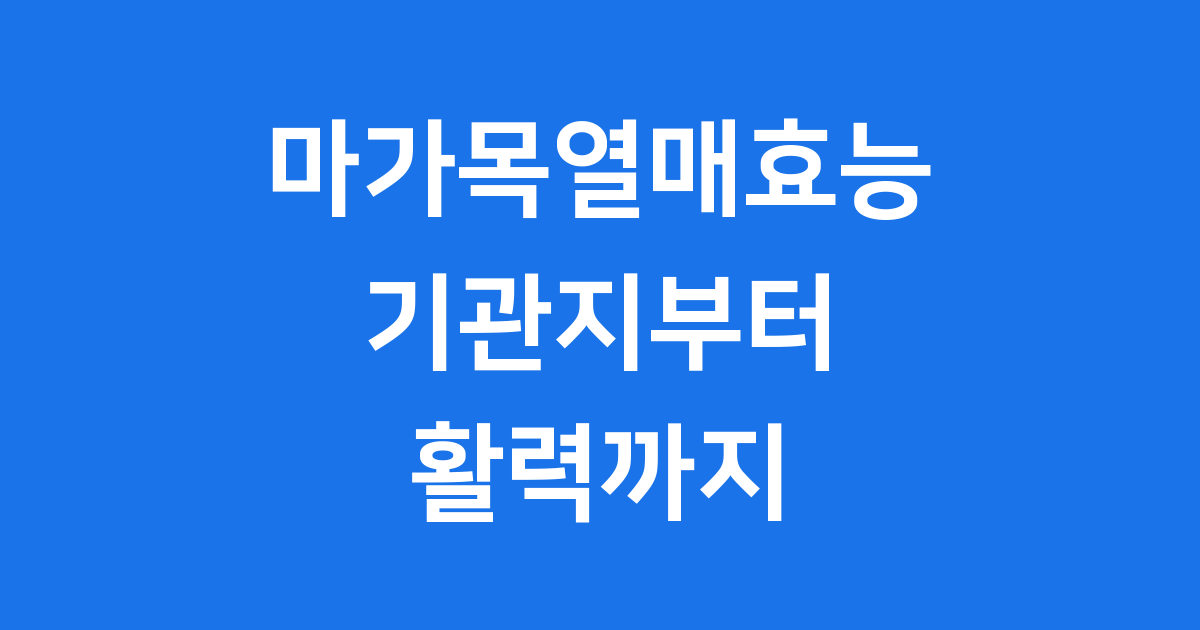마가목열매효능 우리 몸에 어떤 좋은 점이 있을까요?