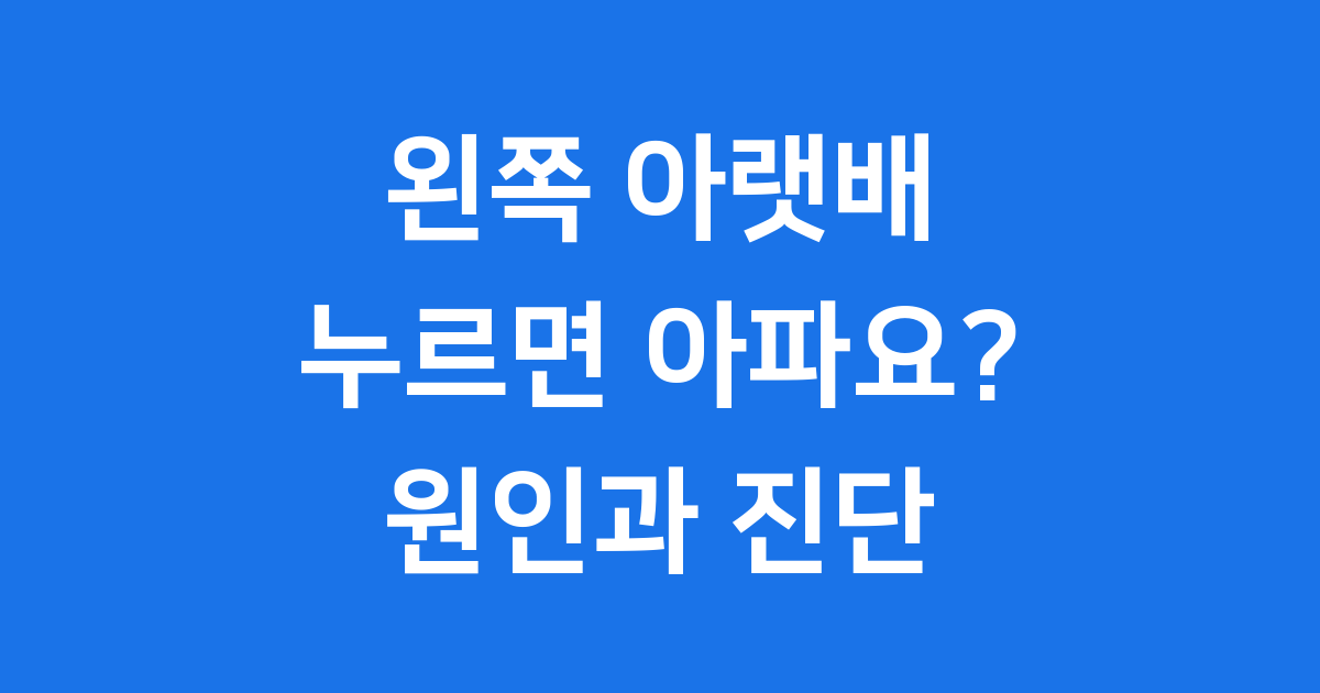 왼쪽아랫배통증 왜 아플까요? 원인과 진단