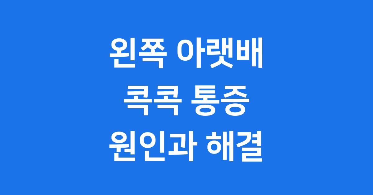 왼쪽아랫배통증콕콕 원인 증상 치료법 2025년