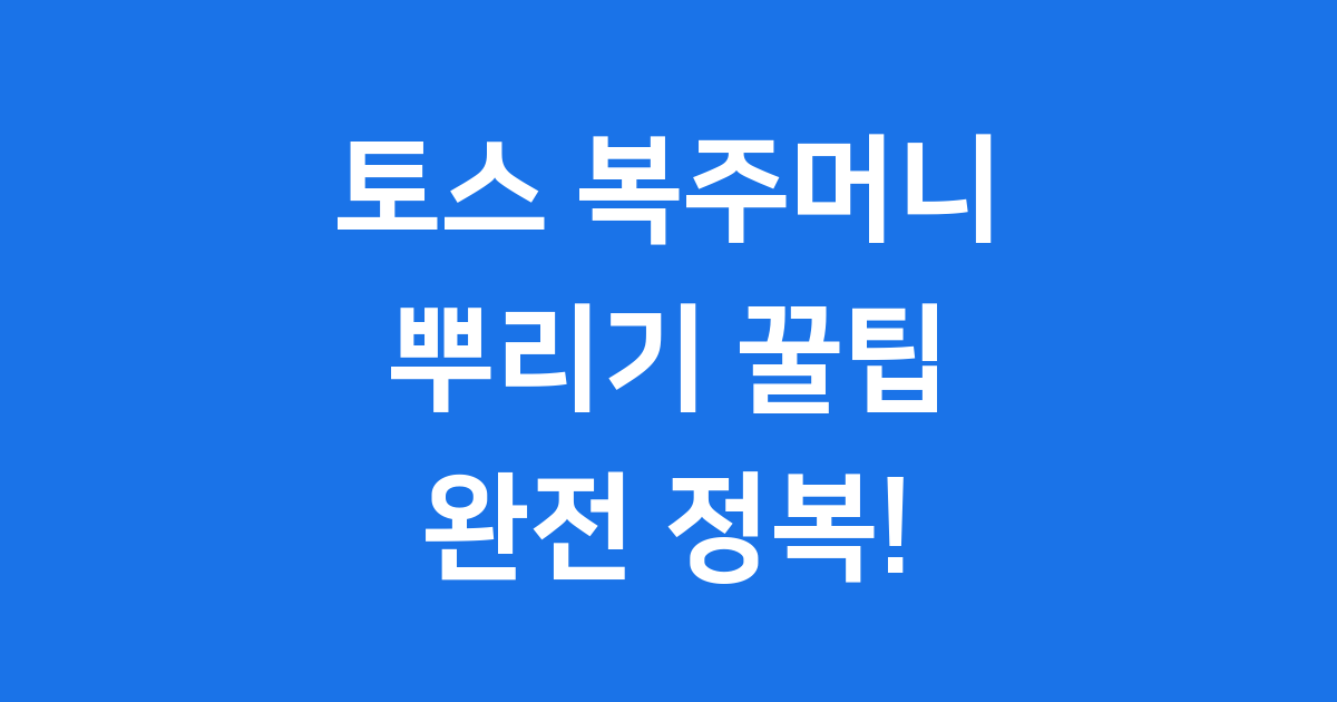 토스 복주머니 뿌리기