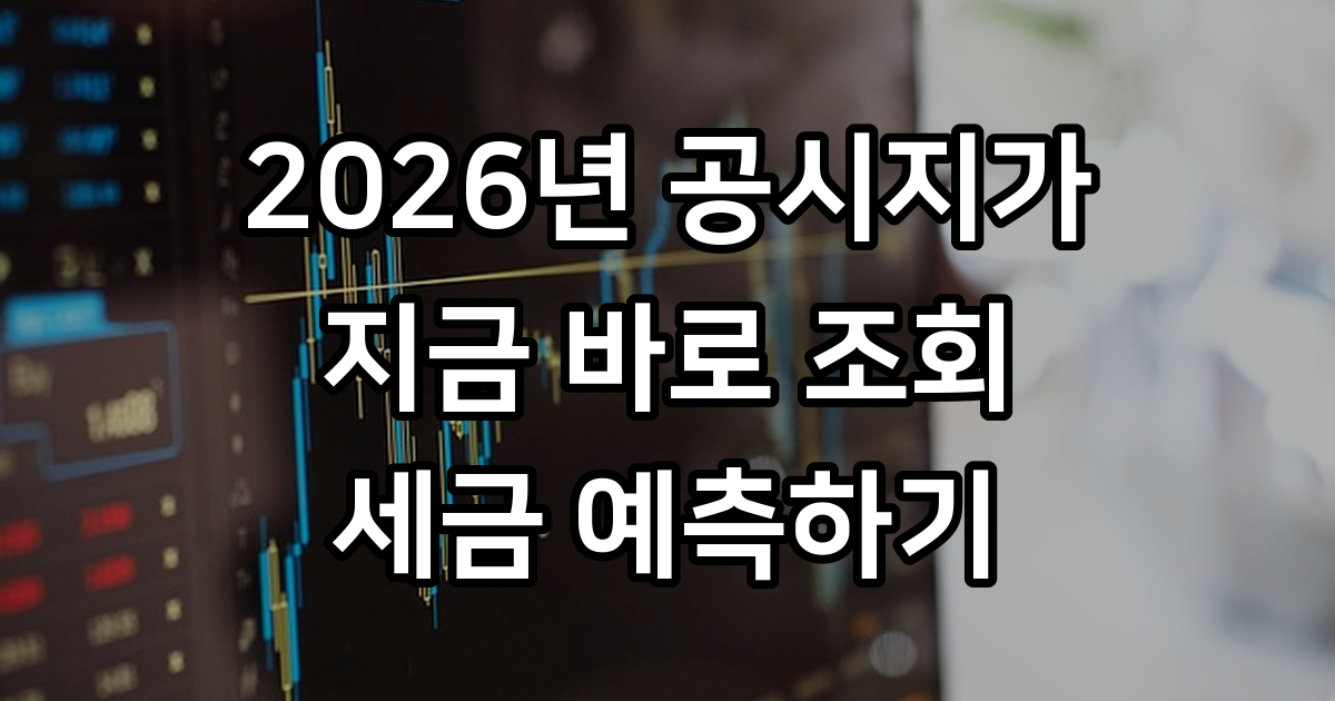 공시지가 조회 후 세금 예측하기