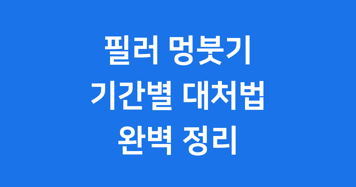 필러 멍붓기 기간 대처법