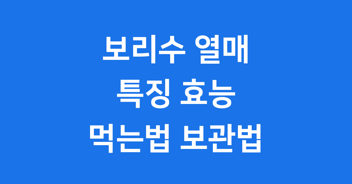 보리수 열매 효능 먹는법 보관법
