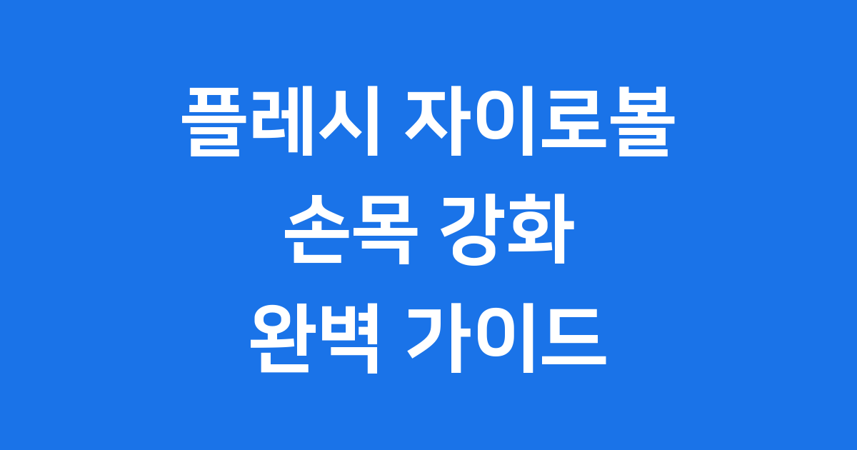 플레시 자이로볼 손목 전완근 운동 효과 사용법 가격