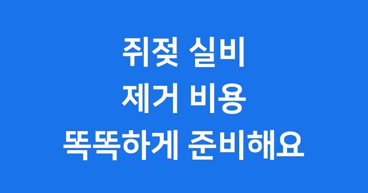 쥐젖 실비 청구, 똑똑하게 준비하는 방법